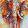 Elephant Head Art paint by numbers