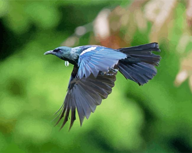 Flying Honeyeater Tui Bird paint by numbers
