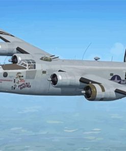 Grey B 24 Liberator Bomber paint by numbers