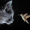 Grey Cat And Hummingbird paint by numbers