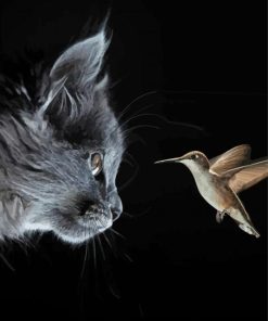 Grey Cat And Hummingbird paint by numbers