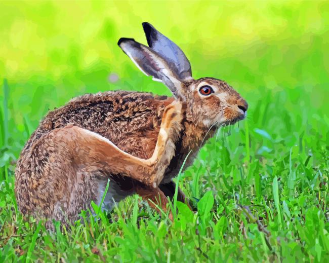 Hare Animal In The Grass paint by numbers