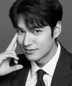 Black And White Lee Min Ho paint by numbers
