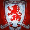 Middlesbrough FC Logo paint by numbers