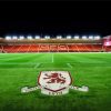 Middlesbrough FC Stadium paint by numbers