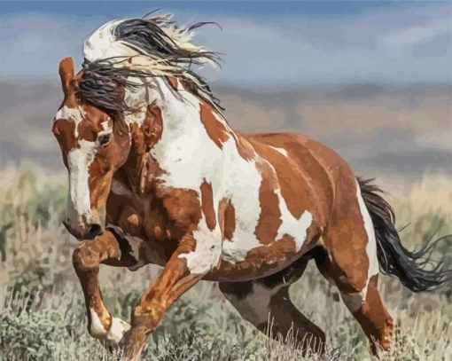 Native American Indian Horse paint by numbers
