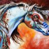 Native American Horse Art paint by numbers