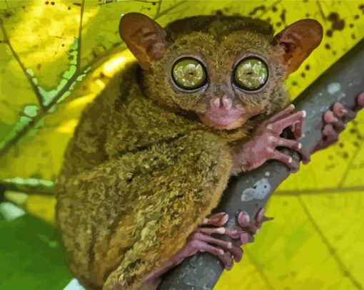 Primate Tarsier On Branch paint by numbers