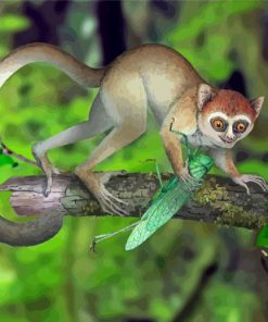 Primate Lepilemur Catching Locust paint by numbers