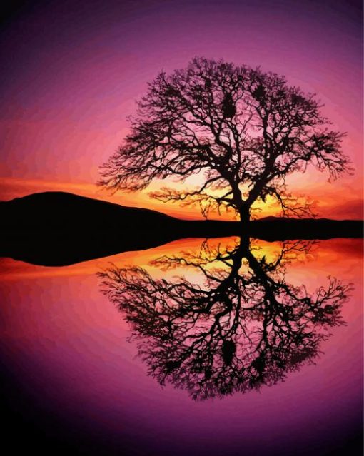 Reflection Tree By Water At Sunset paint by numbers