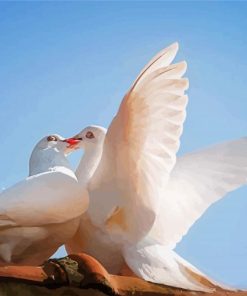 Romantic White Doves Birds paint by numbers
