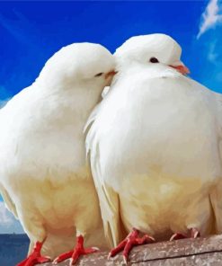 Romantic White Doves paint by numbers