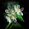 Skeleton Flower plant paint by number
