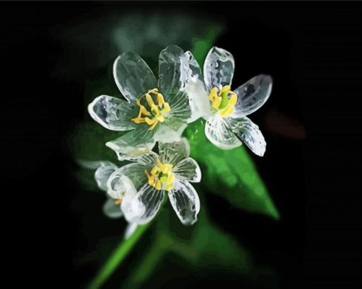 Skeleton Flower plant paint by number