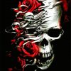 Skull And Red Roses paint by numbers