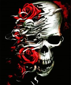 Skull And Red Roses paint by numbers