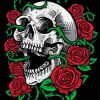 Skull And Roses Art paint by numbers