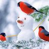 Snowman With Birds paint by numbers