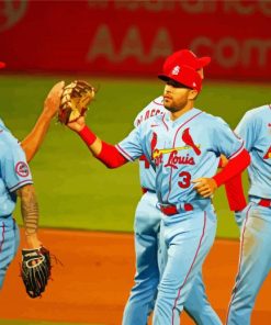 St Louis Cardinals Team paint by numbers