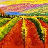 The Barossa Vineyard Art paint by numbers