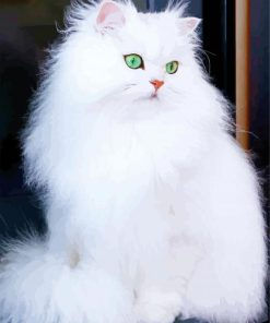 White Fluffy Cat paint by numbers