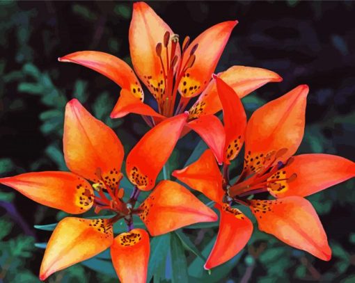 Wood Lily Flowers paint by numbers
