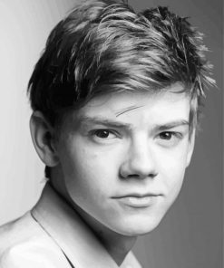 Black And White Thomas Brodie Sangster paint by numbers