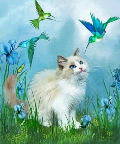 Cat And Hummingbird Art paint by numbers