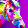 colorful horse Pop art paint by numbers