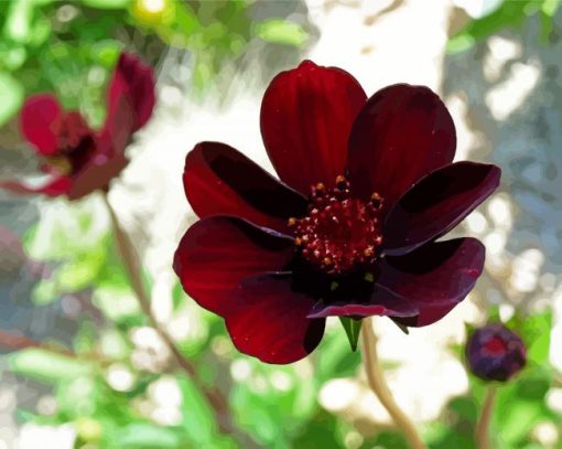 Dark Red Flower paint by numbers