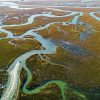 The Lowcountry Marsh Aerial paint by numbers