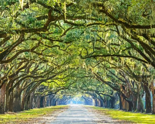 The Lowcountry Trees paint by numbers
