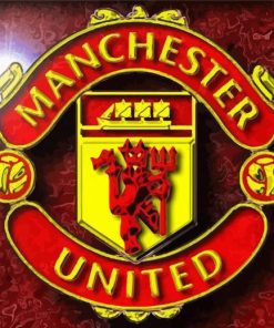 Manchester United Logo paint by numbers