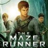 The Maze Runner Poster paint by numbers