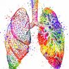 Colorful Lungs paint by number