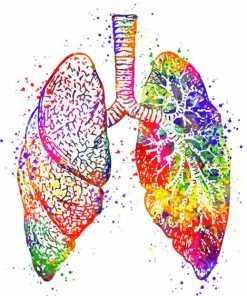 Colorful Lungs paint by number