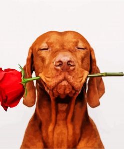 Cute Brown Dog Holding a Red Rose paint by numbers