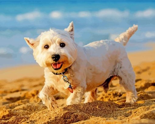 West Highland White Terrier paint by numbers