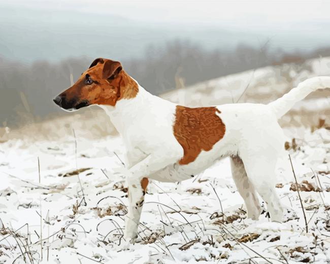 Smooth Fox Terrier In Snow paint by numbers