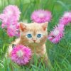 Cute Spring Cat paint by numbers