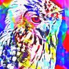 Abstract Owl Bird paint by numbers