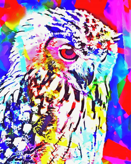 Abstract Owl Bird paint by numbers