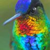 Aesthetic Rainbow Hummingbird paint by numbers
