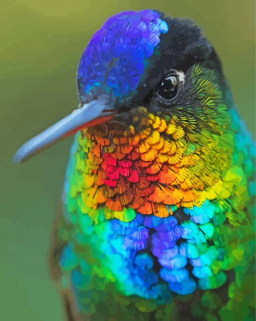 Aesthetic Rainbow Hummingbird - Paint By Numbers - Canvas Paint by numbers