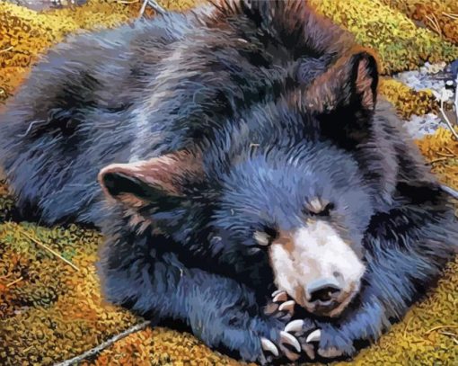Black Sloth Bear paint by numbers