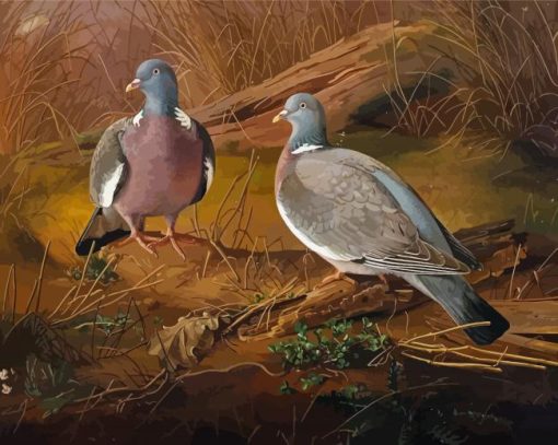 Common Wood Pigeon Birds paint by numbers