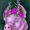 Floral Pig Head paint by numbers