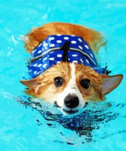 Adorable Dog In Water paint by numbers