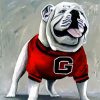 Aesthetic Georgia Bulldog paint by numbers