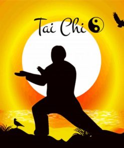 Tai Chi Silhouette paint by numbers